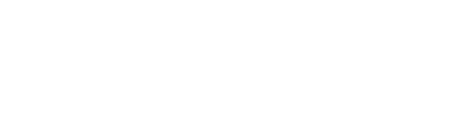 NEXUS by BITVI